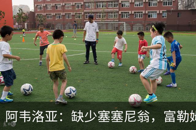 阿韦洛亚：缺少塞塞尼翁，富勒姆的挑战如同决赛！